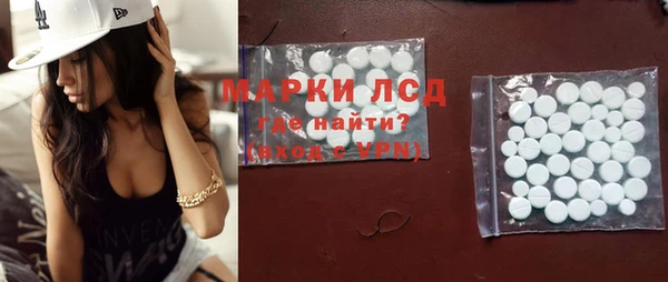 стаф Аркадак