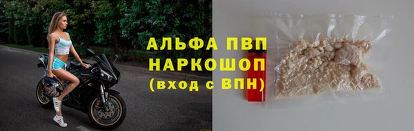 стаф Аркадак