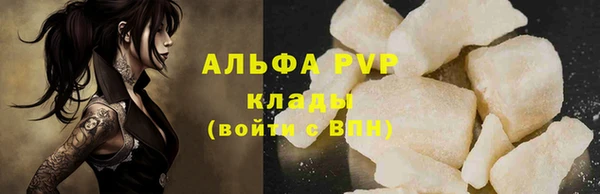 стаф Аркадак