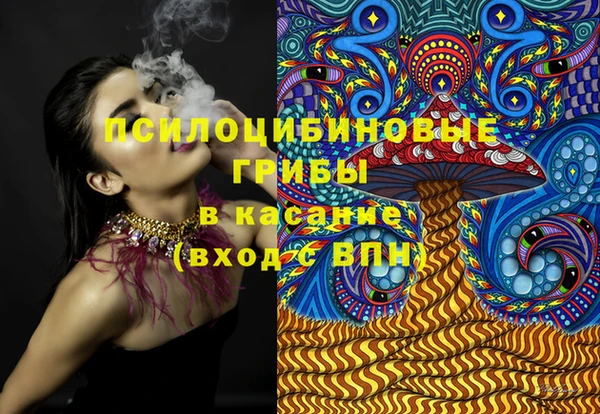 стаф Аркадак