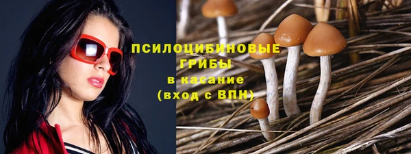 spice Арсеньев