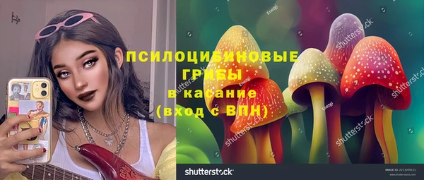 spice Арсеньев